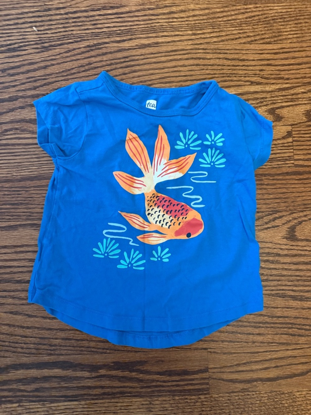 Tea Collection Teal Toddler Tee with Orange Graphic